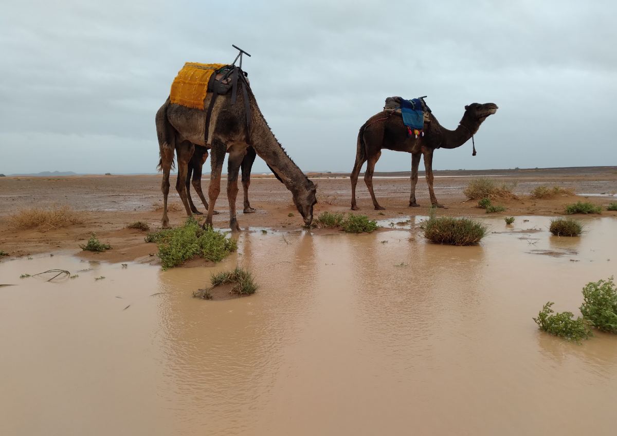 High Atlas excursions from Marrakech to Ourika valley and Toubkal mountain trails