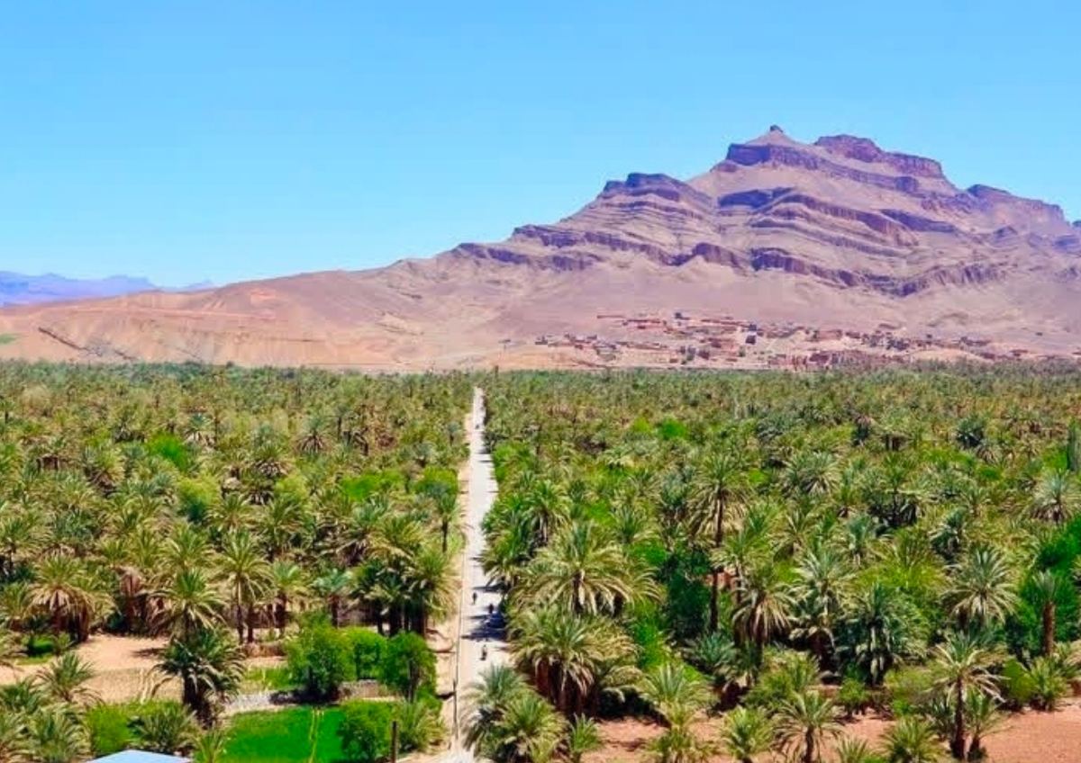 Morocco desert tours with camel trekking luxury camps and Sahara stargazing