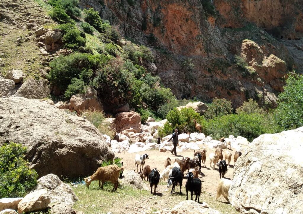 Morocco Instagram tours to the most photogenic locations from Chefchaouen to the Sahara