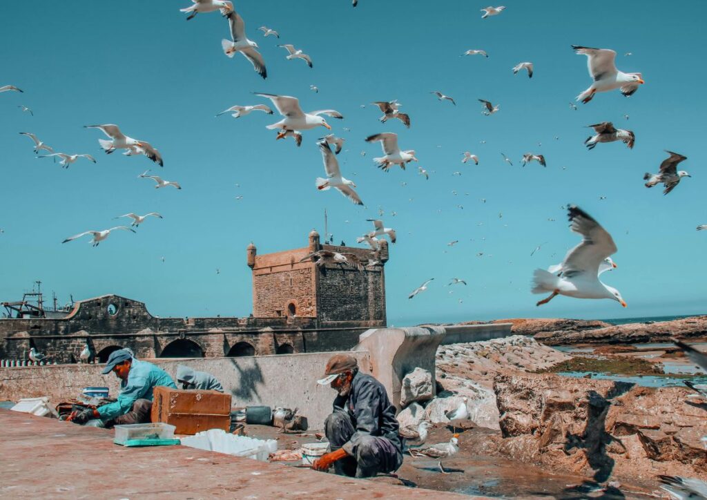 UNIQUE 4 DAY LUXURY DESERT TOUR FROM MARRAKECH TO FES