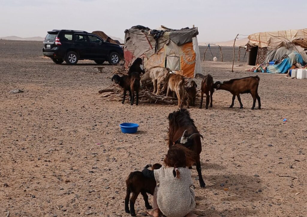 Morocco tours from Marrakech to the Sahara Atlas mountains and Atlantic coast