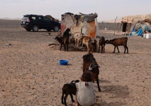 Morocco tours from Marrakech to the Sahara Atlas mountains and Atlantic coast