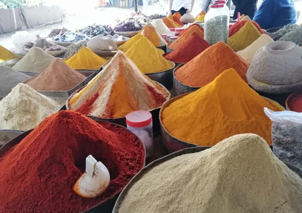 Morocco holidays combining Sahara desert medina exploration and coastal relaxation with Atlas Elite Tours
